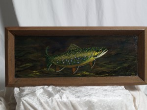 Brook Trout tray